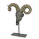 A RESIN RAM SKULL ON STAND