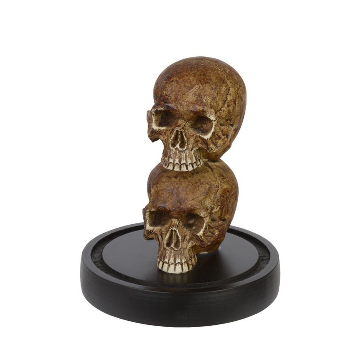 A RESIN SKULL UNDER GLASS DOME