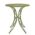 A ROUND IRON TABLE - GREEN