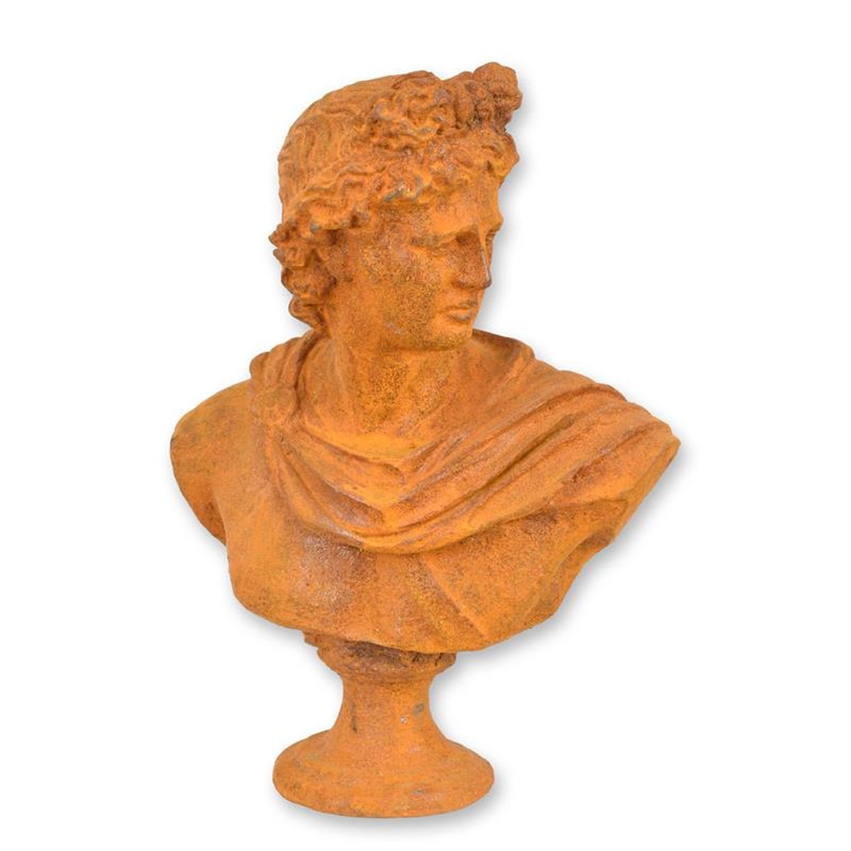 A RUSTY CAST IRON BUST OF CEASAR