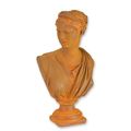 A RUSTY CAST IRON BUST OF VENUS