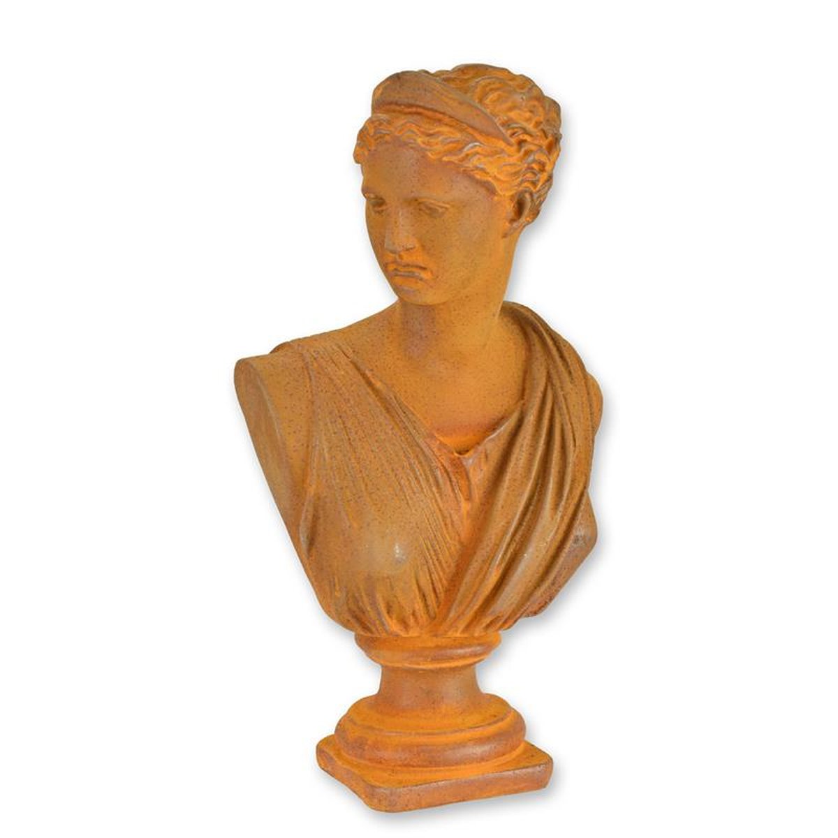 A RUSTY CAST IRON BUST OF VENUS