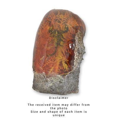 A SCORPION ARTIFICIAL AMBER FOSSIL