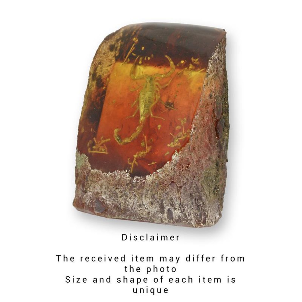 A SCORPION ARTIFICIAL AMBER FOSSIL