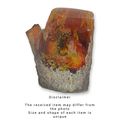 A SCORPION ARTIFICIAL AMBER FOSSIL