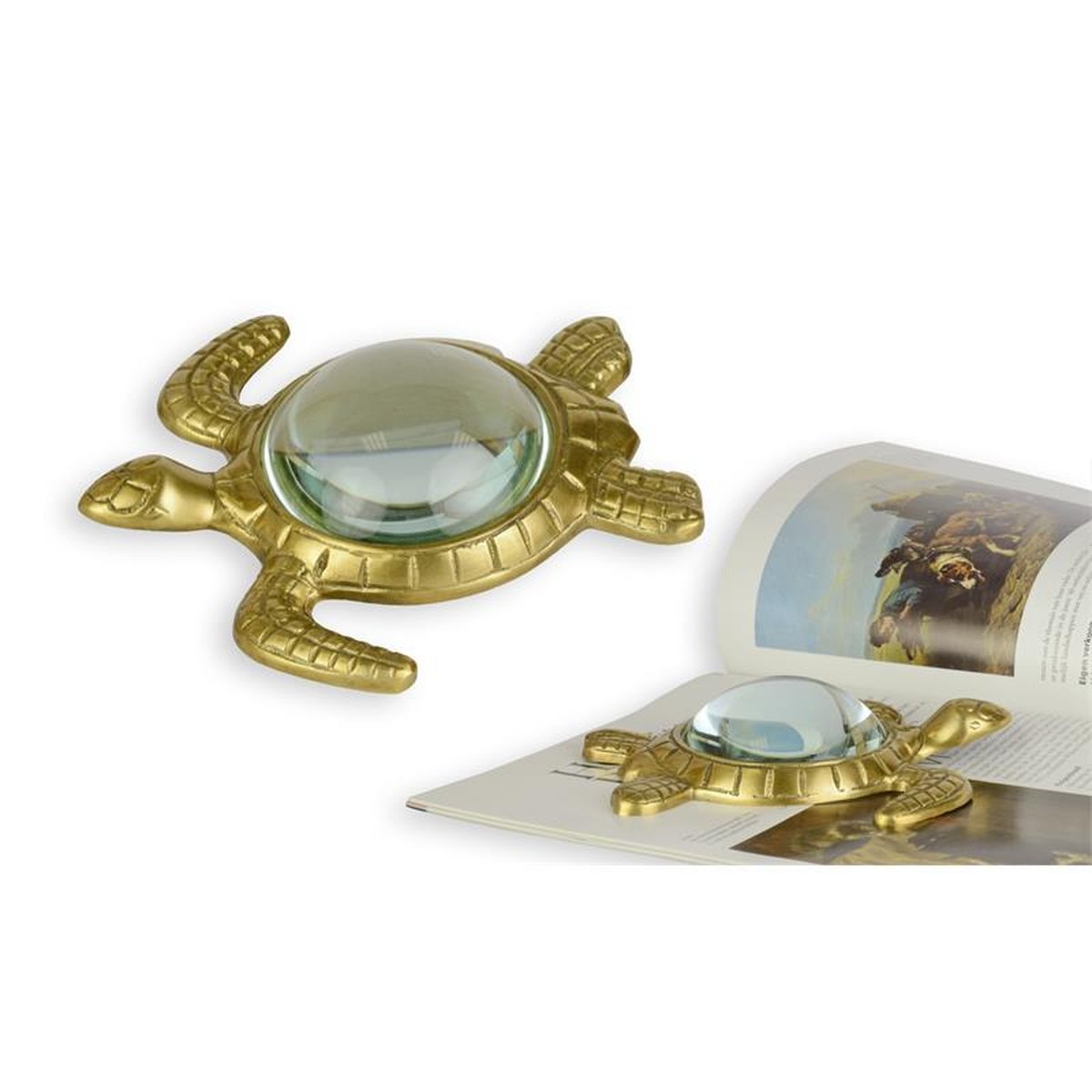 A TURTLE SHAPED HAND-LENS