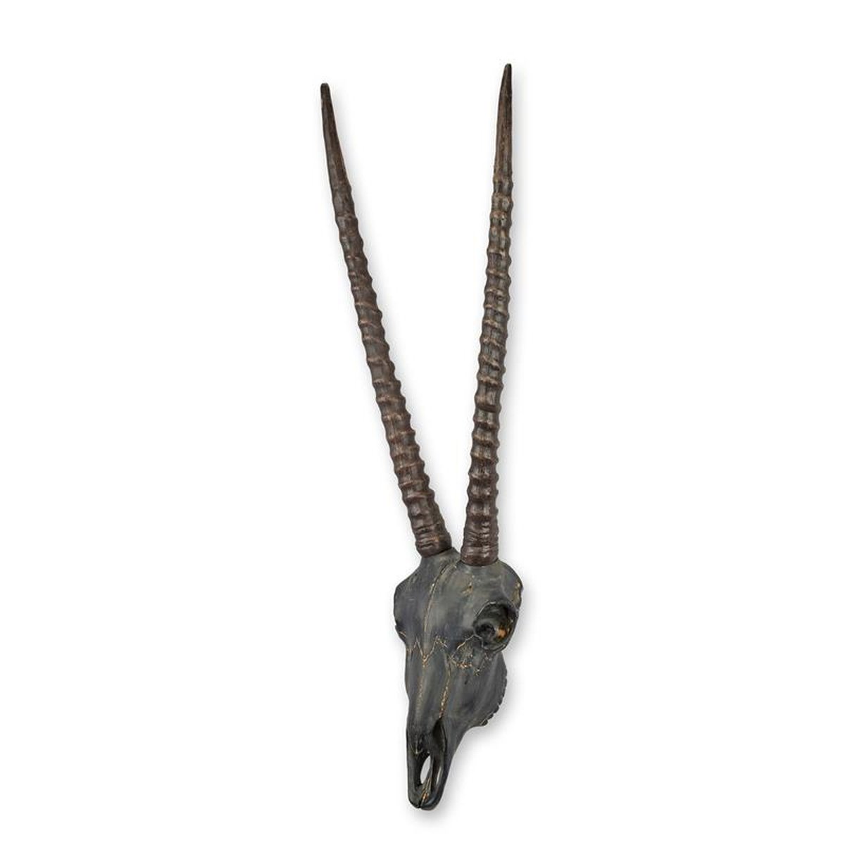 A WALL MOUNT RESIN CHINKARA OR INDIAN GAZELLE SKULL