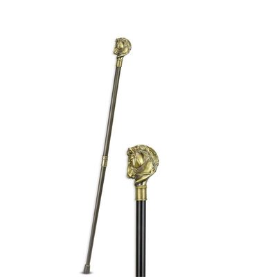 AN ALUMINIUM WALKING STICK