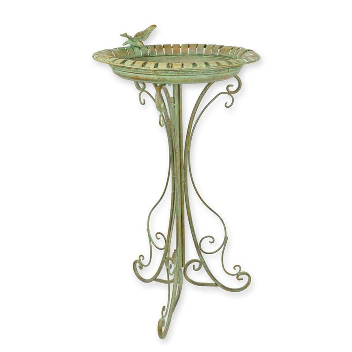 AN IRON BIRD BATH