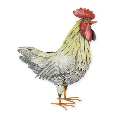 AN IRON HEN