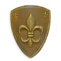 AN IRON WALL MOUNT SHIELD WITH FLEUR DE LIS -SILVER
