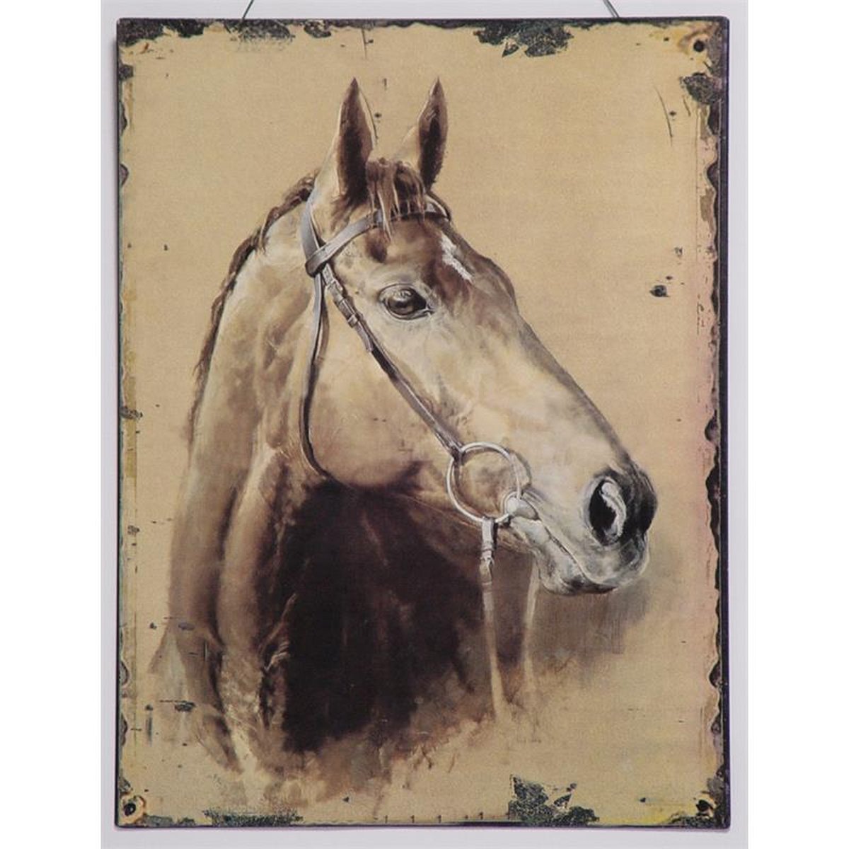 TIN PLAQUE LxW: 33 x 25 cm.