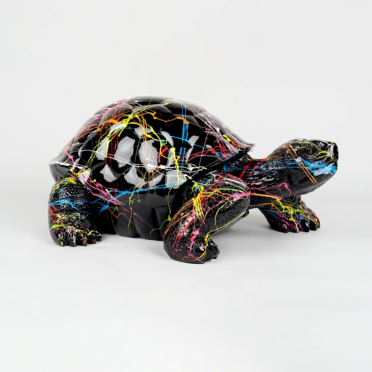 Turtle M - Black Splash
