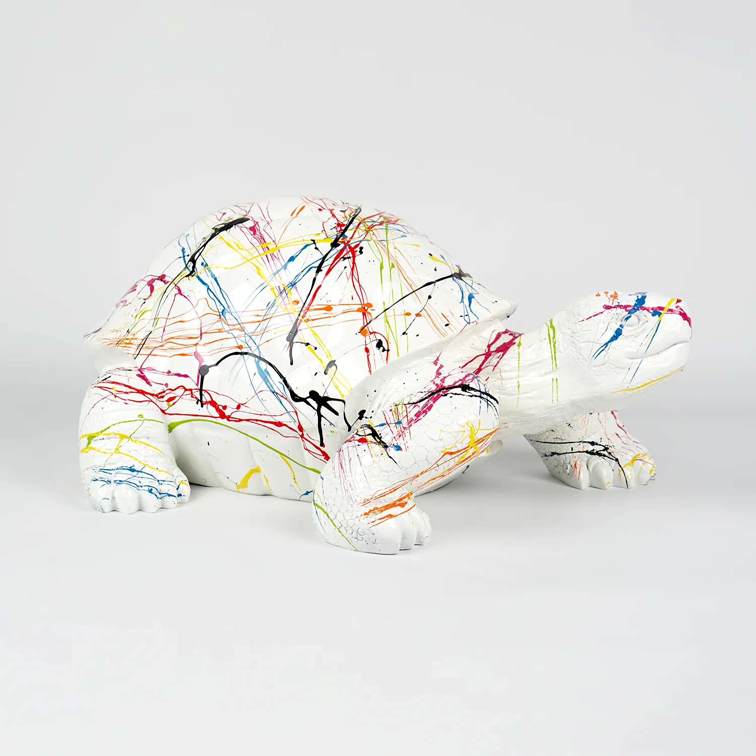 Turtle M - White Splash